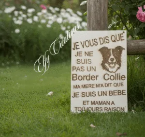 Panneau border